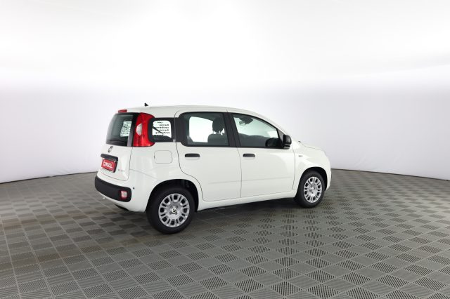 FIAT Panda usata 2