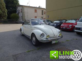 VOLKSWAGEN Maggiolone usata 13