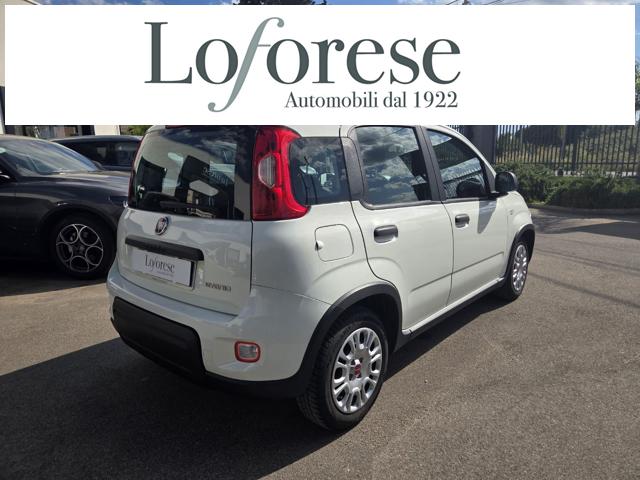 FIAT Panda usata, con Alzacristalli elettrici