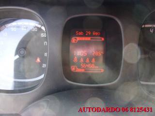 FIAT Panda usata, con Airbag testa