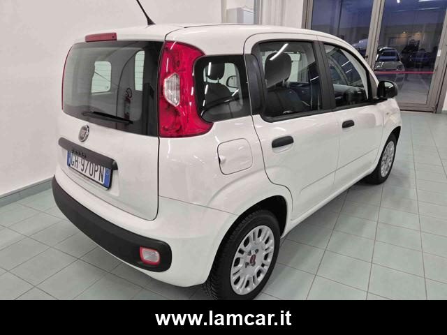 FIAT Panda usata, con Cronologia tagliandi