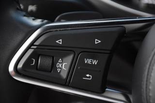 AUDI TT usata, con Bracciolo