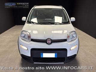 FIAT Panda usata 18