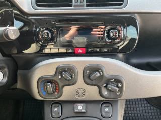 FIAT Panda usata 13