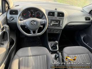 VOLKSWAGEN Polo usata, con Fendinebbia