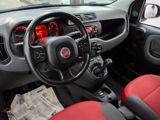 FIAT Panda usata, con Controllo trazione