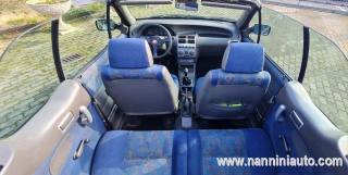 FIAT Punto usata 12