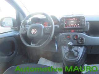 FIAT Panda Cross usata 15