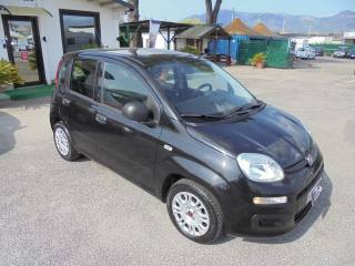 FIAT Panda usata 12