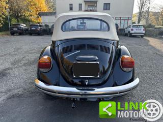 VOLKSWAGEN Maggiolone usata 6