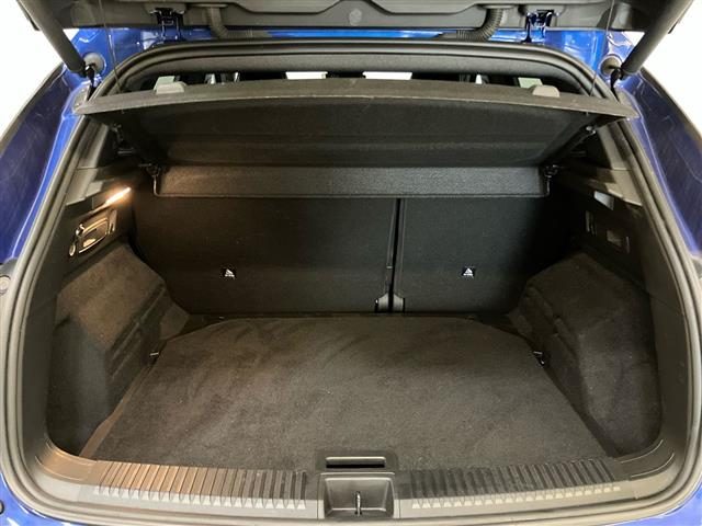 RENAULT Austral usata 25