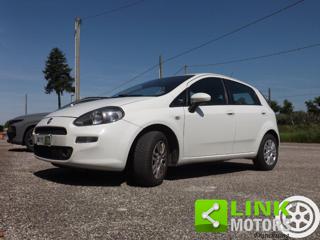 FIAT Punto usata 53