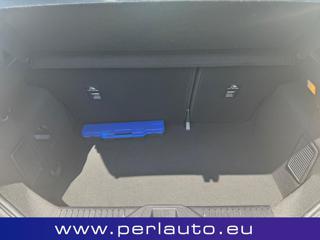 FORD Fiesta usata, con Fendinebbia