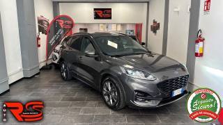 FORD Kuga 2.0 EcoBlue Hybrid 150 CV 2WD ST-Line