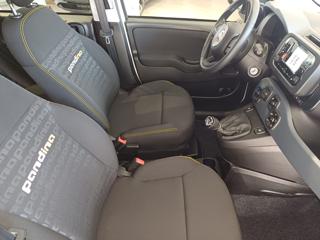 FIAT Panda usata, con Alzacristalli elettrici