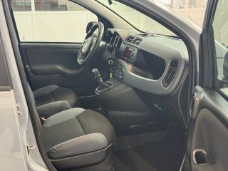 FIAT Panda usata 21