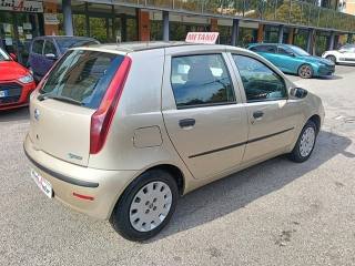 FIAT Punto usata, con Lettore CD