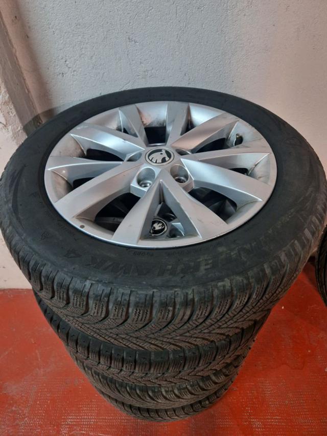 SKODA Octavia usata, con Cronologia tagliandi