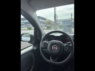 FIAT Panda usata 16