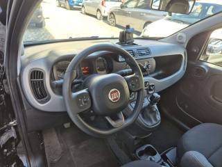 FIAT Qubo usata, con Regolazione elettrica sedili