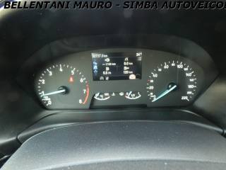 FORD Fiesta usata, con Bracciolo