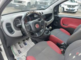 FIAT Panda usata 8
