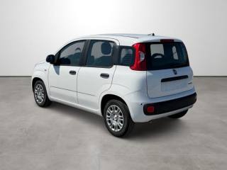 FIAT Pandina usata, con Chiusura centralizzata