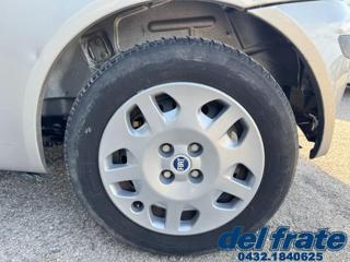 FIAT Punto usata 19