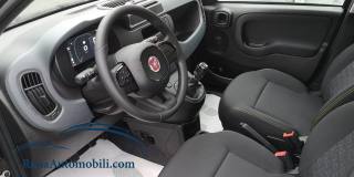 FIAT Panda usata, con Airbag Passeggero