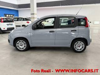 FIAT Panda usata 16