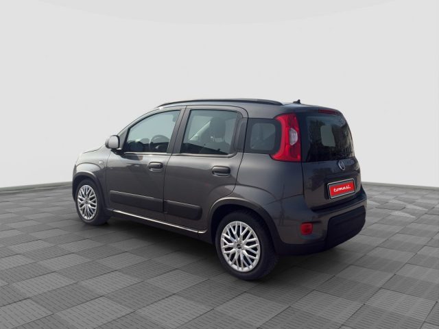 FIAT Panda usata 2
