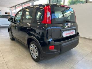 FIAT Panda usata, con Climatizzatore