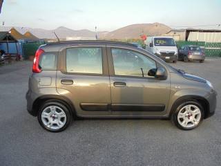 FIAT Panda usata 21