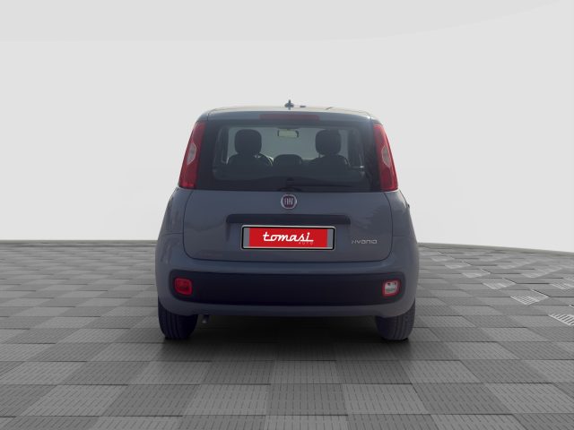 FIAT Panda usata 4