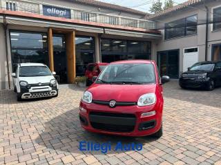 FIAT Pandina usata, con Airbag laterali