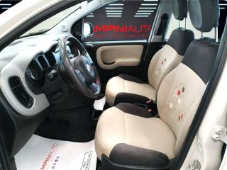 FIAT Panda usata 15