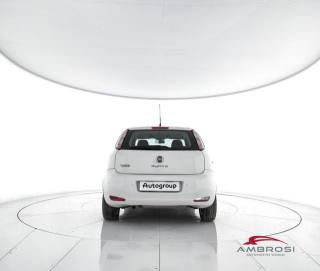 FIAT Punto usata 5