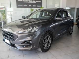 FORD Kuga 1.5 tdi 120 cv ST-Line X Autom. 36 mesi di garanzi