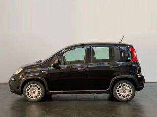 FIAT Panda usata, con Antifurto