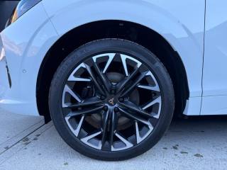 CUPRA Terramar usata, con Immobilizzatore elettronico