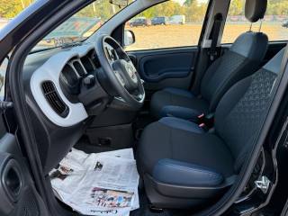 FIAT Panda Cross usata 15