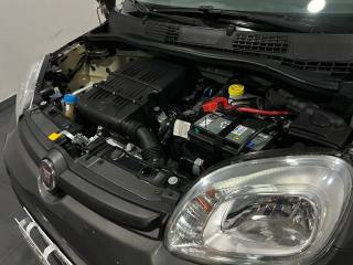 FIAT New Panda usata, con Cronologia tagliandi