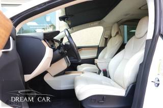 TESLA Model X usata, con Climatizzatore