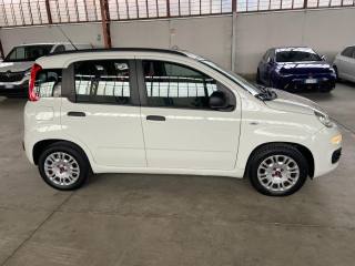 FIAT Panda usata 3