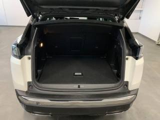 PEUGEOT 3008 usata, con Vetri oscurati