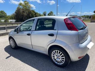 FIAT Punto usata, con Controllo trazione
