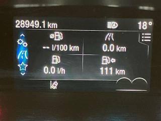 FORD Fiesta usata 14