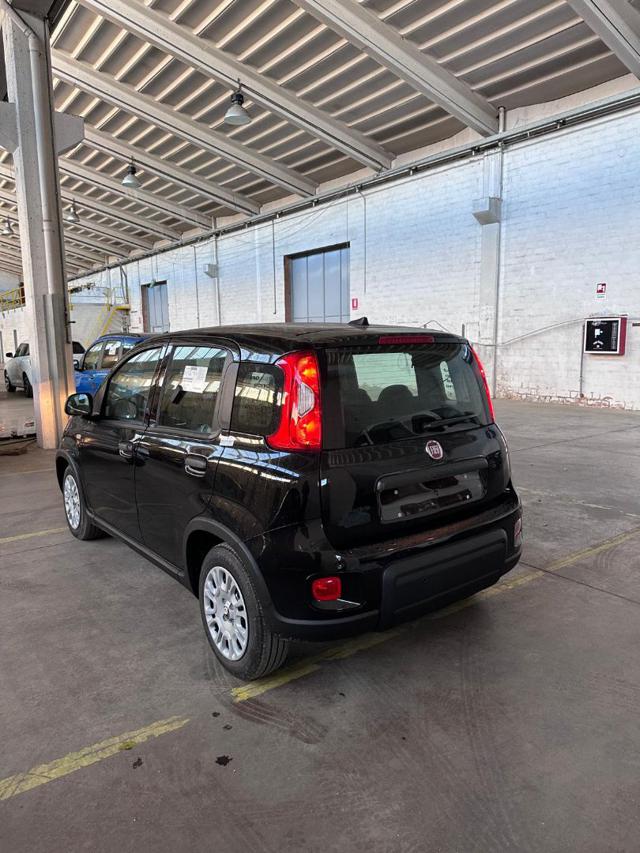 FIAT Panda usata, con Servosterzo