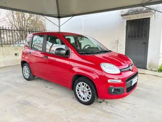 FIAT Panda usata, con Airbag laterali