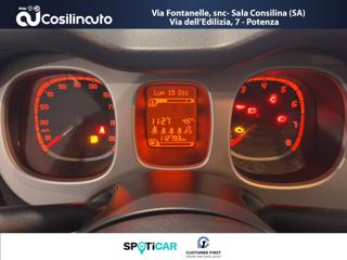 FIAT Panda Cross usata, con Autoradio digitale